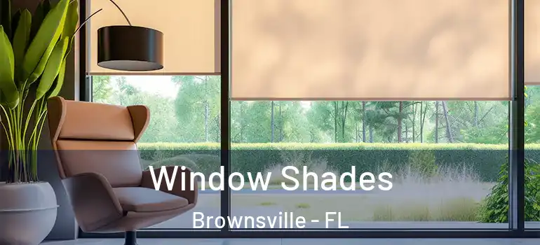  Window Shades Brownsville - FL